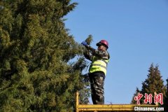 花粉季来袭，如何破解春日里的健康考题？